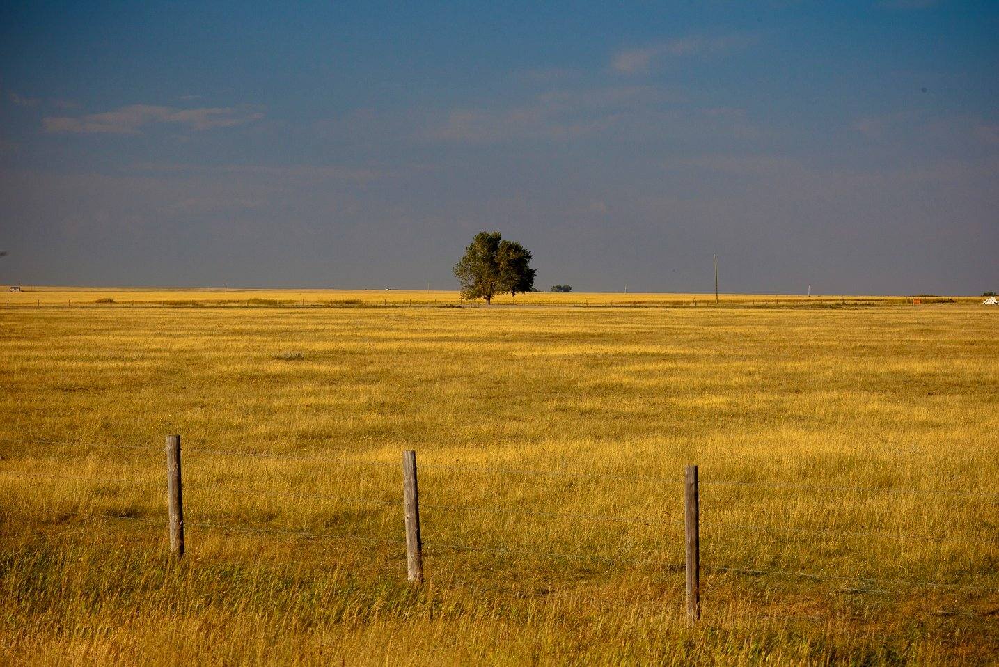 Flat farmland outside Calgary stretching toward the Rocky Mountains on the horizon